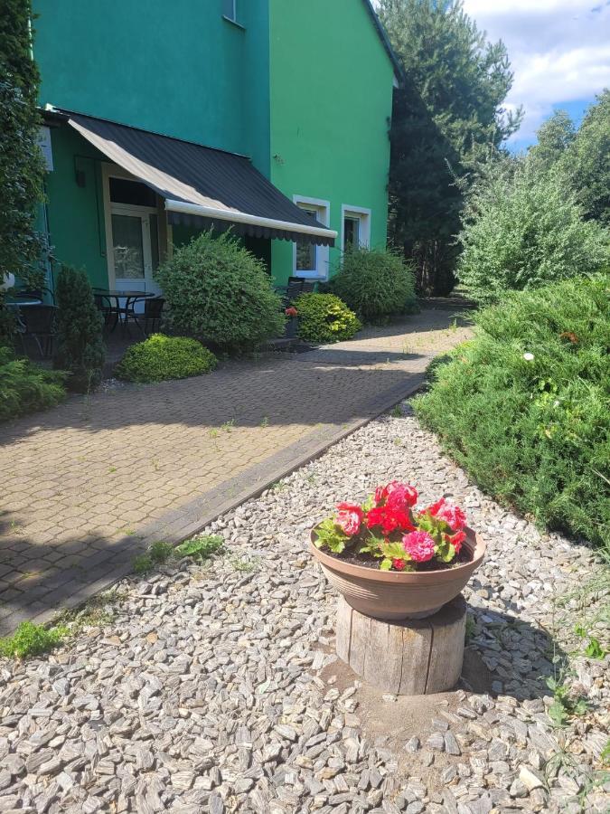 Albert Turystyczne Uslugi Hotelarskie Warszawa Eksteriør bilde